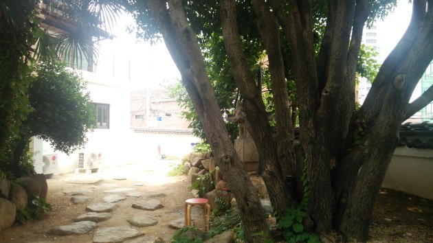 文化共感・水晶の敷地内にある木々